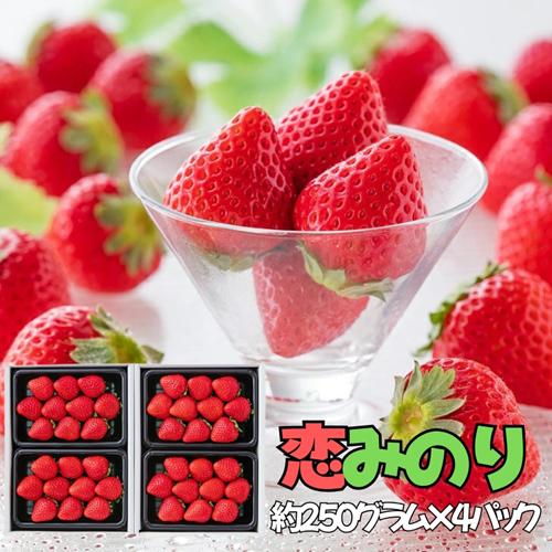【完熟・採れたて】 特別栽培イチゴ 恋みのり 250ｇ × 4パック　12月下旬～4月発送：B155-021