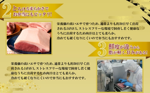 JAPAN X 豚バラ2mmスライス/計1.2kg＜2月以降順次発送＞　【04301-1031-2】