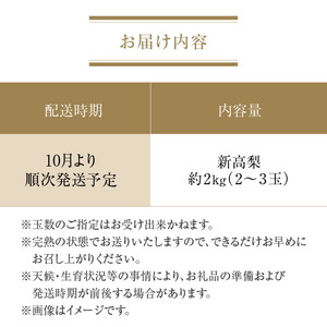 【ふるさと納税】【配送不可地域：北海道・沖縄県・離島】数量限定！平和農園 新高梨 （2～3玉）＜約2kg＞