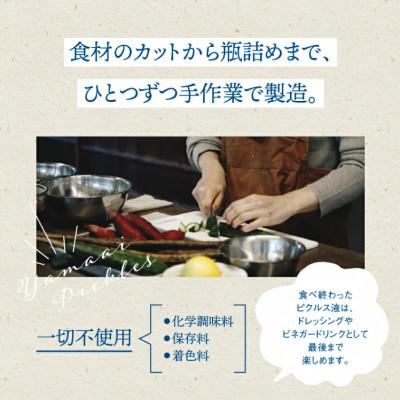 ふるさと納税 江津市 【やまあいピクルス】素材を生かした手作りピクルス　定番和風2本+季節1本(おまかせ) |  | 02