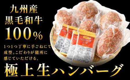 【極み】 九州産 黒毛和牛 手ごね 生ハンバーグ （ソース付き） 約150g×5個 計約750g ハンバーグ 生ハンバーグ 和牛ハンバーグ 和牛 冷凍