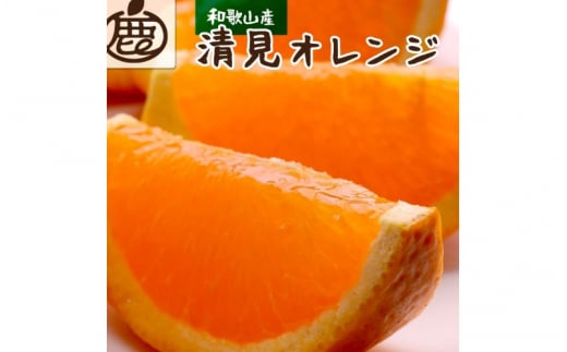 ＜2月より発送＞厳選 清見オレンジ 2kg+60g（傷み補償分）【光センサー食頃出荷】【樹上完熟きよみオレンジ・清見タンゴール・清美】 ※北海道・沖縄・離島への配送不可【ikd165A】