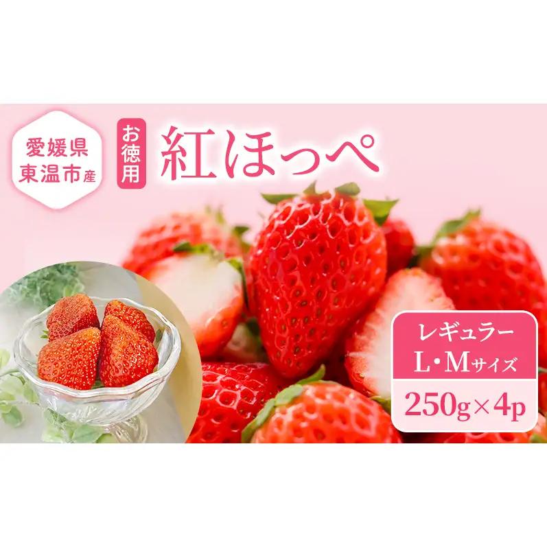いちご 紅ほっぺ お徳用 愛媛県産 いちご【250g×4パック】