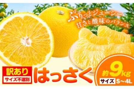 【訳あり/ご家庭用】はっさく 約9kg (4L~Sサイズ サイズ不選別) 早生･晩生指定不可《2月上旬-4月中旬に出荷予定(土日祝除く)》