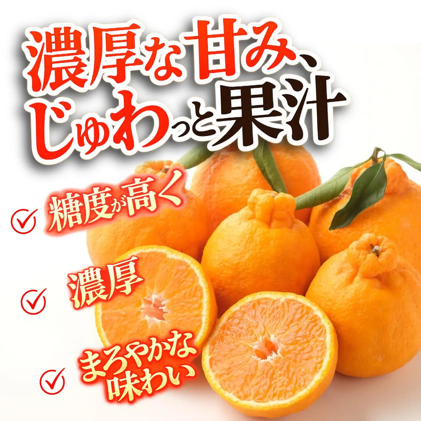 【2月上旬より順次発送】デコポン 訳あり 5.5kg 柑橘 デコポン