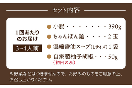 【白石町返礼品限定】【全6回定期便】やましょう もつ鍋セット（醤油味）3〜4人前 [IAL006]