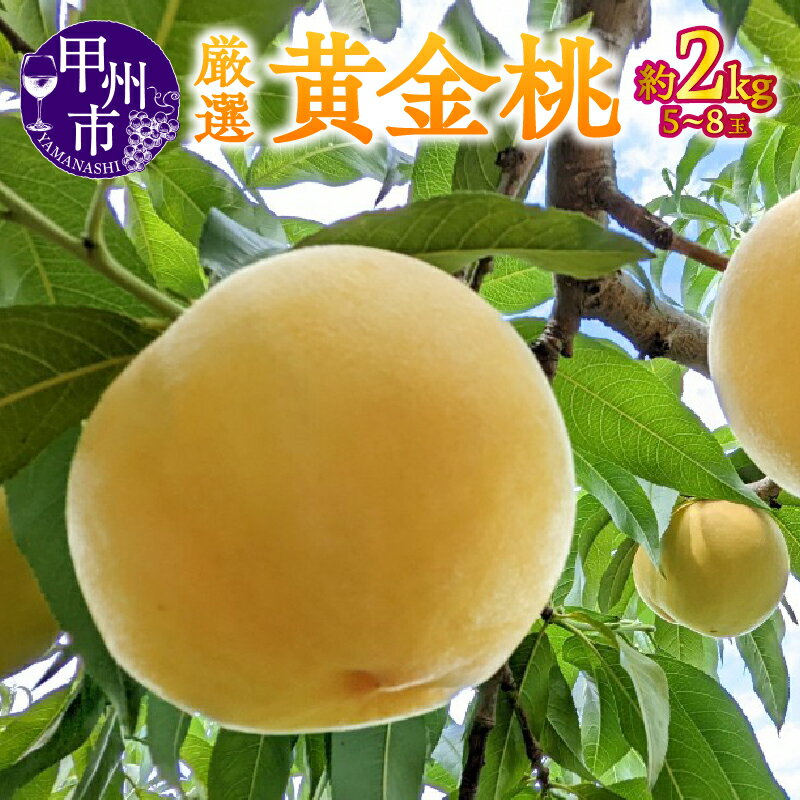 【ふるさと納税】 もも 黄金桃 果物 約2kg 5～8玉 甲州市産 厳選 2025年発送 宿沢フルーツ農園 フルーツ 果物 くだもの 果実 デザート 数量限定 期間限定 贈答 ギフト 家庭用 盛り合わせ 7月 8月 9月 発送 山梨県 甲州市 (SF) 【B-193】