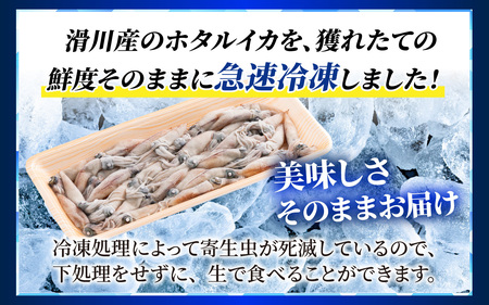 急速冷凍 生ホタルイカ【カネツル砂子商店】