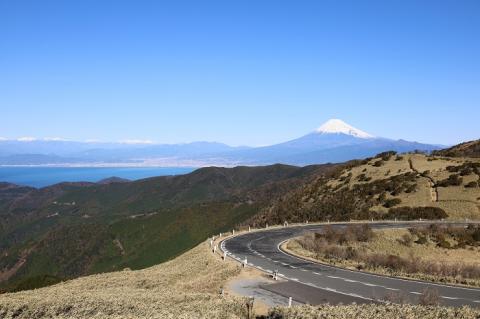 静岡県伊豆市　ANAトラベラーズダイナミックパッケージ割引クーポン15,000点分