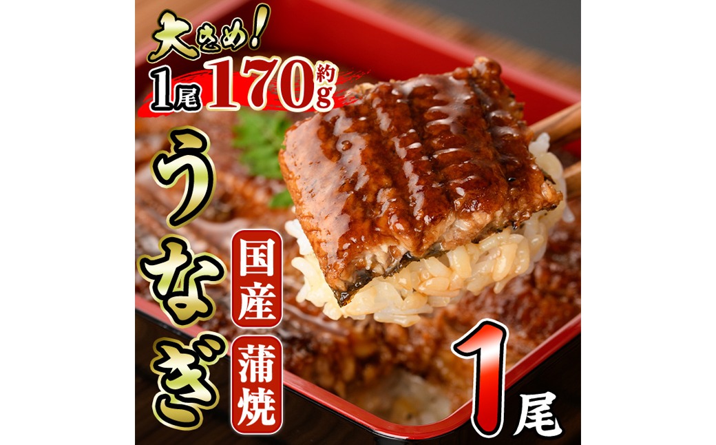 国産 うなぎ 蒲焼 (約170g×1尾) 鰻 タレ かば焼き うな重 うな丼 ひつまぶし 小分け 真空包装 真空パック 【丸正水産】【AW-89】