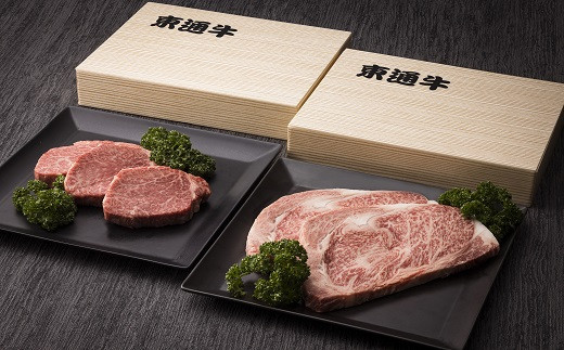 【E-01-02】東通牛ヒレ・ロースステーキセット＜ヒレステーキ（400g×1箱）、ロースステーキ（600g×1箱）＞