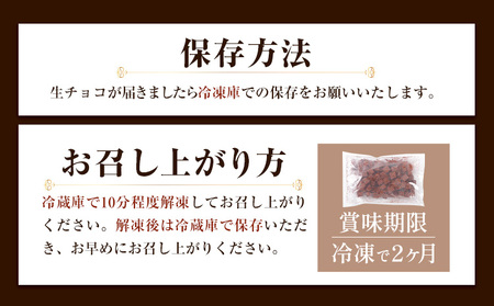 ご家庭用 大容量 生チョコ ご家庭用 低糖質 500g ヘルシースイーツ工房マルベリー《30日以内に出荷予定(土日祝除く)》大阪府 羽曳野市 スイーツ お菓子 低糖質 生チョコ チョコ ダイエット 糖