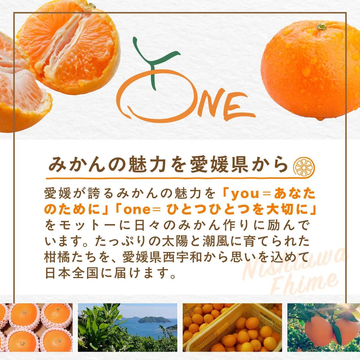 【先行受付】【数量限定】南柑20号（生果）3kg（2025年12月上旬頃より順次発送）IKTQ016