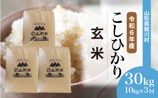 ＜令和6年産米＞ 令和7年1月下旬より配送開始 コシヒカリ【玄米】30kg 定期便 (10kg×3回) 鮭川村