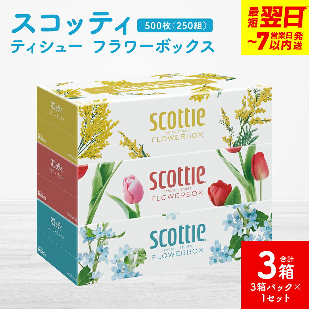 【ふるさと納税】【スコッティ】ティシュー フラワーボックス 250組（3箱パック×1セット 合計3箱）ティッシュ 日用品 生活必需品 送料無料 スピード発送 【7営業日以内に発送】