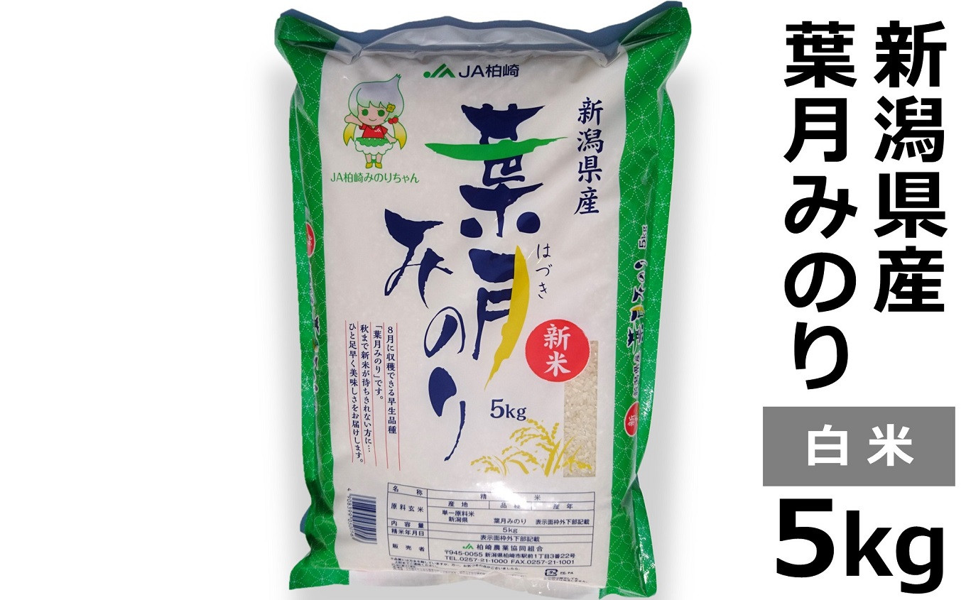 
            【令和7年産新米】新潟米 葉月みのり 白米 5kg 極早生品種【8月下旬～9月上旬発送】[Y0064]
          
