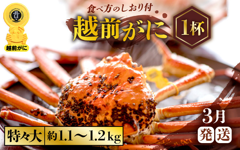 
            越前がに本場の越前町からお届け！ ≪浜茹で≫越前がに 特々大サイズ × 1杯（生で約1.1～1.2kg）食べ応え十分 食べ方しおり付き【かに カニ 蟹】【福井県 越前町 雄 ズワイガニ ボイル 冷蔵 越前ガニ 越前かに 越前カニ ずわいがに ずわい蟹 かに カニ 蟹】【3月発送分】希望日指定可 備考欄に希望日をご記入ください [e57-x007_03]
          