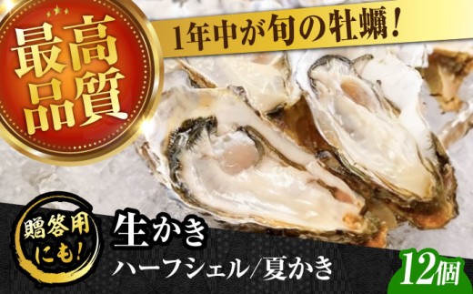 【生牡蠣】かなわのハーフシェル『夏かき』12個入り 江田島市／株式会社かなわ [XBP013]｜生牡蠣 生食用 牡蠣 生食 殻付き 殻付 殻 かき カキ 生牡蠣 広島牡蠣 オイスター ハーフシェル 夏かき 魚介類 魚介 貝類 海鮮 広島県産 国産 産地直送 贈答 ギフト 特産品 牡蠣