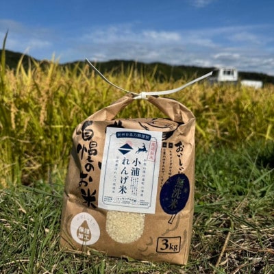 2025年度(令和7年)産!日高町小浦の無洗米「小浦れんげ米」3kg【1680199】