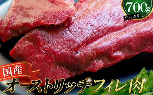 国産オーストリッチフィレ肉700g  [No.066]／ オーストリッチ肉 ダチョウ肉 フィレ肉 国産肉 赤身肉 やわらか食感 クセが少ない 精肉 ブロック肉 ステーキ用 ロースト用 低脂肪イメージ 調理用肉 珍しい肉 家庭料理