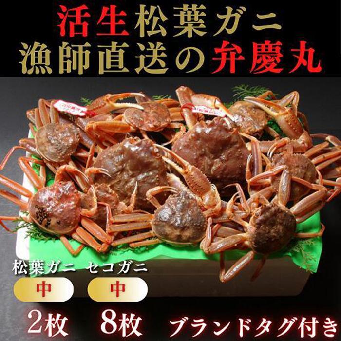 【ふるさと納税】松葉ガニ夫婦 Bセット ブランドタグ付き※着日指定不可※【弁慶丸】 | 鳥取 送料無料