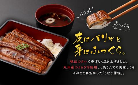 BSR-809 九州産うなぎ蒲焼き 4尾 合計約480g(約120g×4尾) タレ付