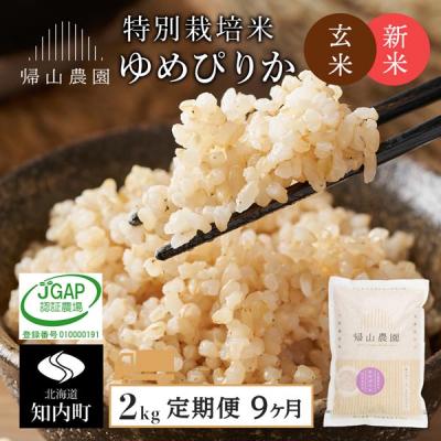 ふるさと納税 知内町 【令和8年産新米先行受付】【9カ月定期便】特別栽培米産地直送 玄米ゆめぴりか 2kg 帰山農園