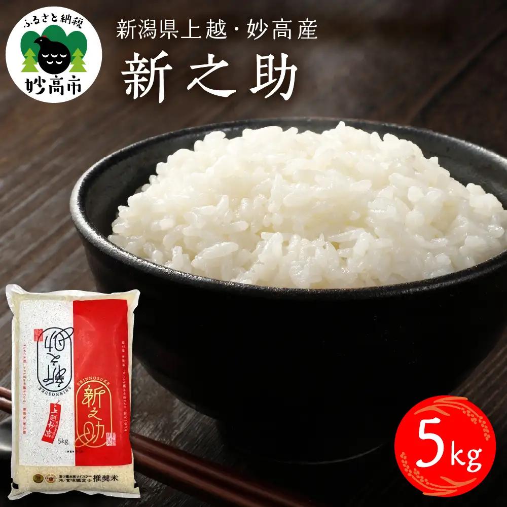 【2027年1月下旬発送】令和8年産 新潟県上越妙高産 新之助 5kg
