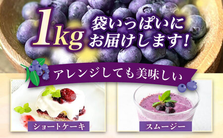 国産 ブルーベリー 1kg [ABAK001] フルーツ ベリー