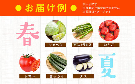 ＼レビューキャンペーン中／【全6回定期便】産地直送！鮮度抜群！旬を味わう新鮮野菜と果物の詰め合わせセレクションボックス（8種以上）　愛媛県大洲市/たいき産直市愛たい菜[AGAP019]野菜果物フルーツ