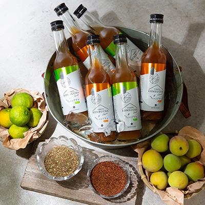 ふるさと納税 忠岡町 老舗酵素メーカー「大和酵素」が作る、 “本物のコンブチャ” (280ml×24本) |  | 01