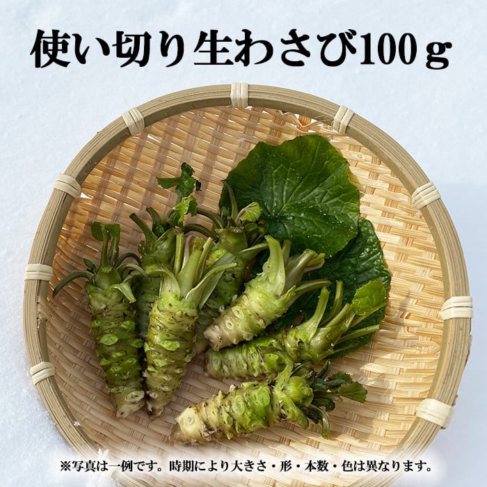 生わさび 使い切りサイズ 100g 【安比清流山葵園】 ／ わさび 山葵 ワサビ 生山葵 生ワサビ 新鮮 薬味 産地直送 国産 岩手県産