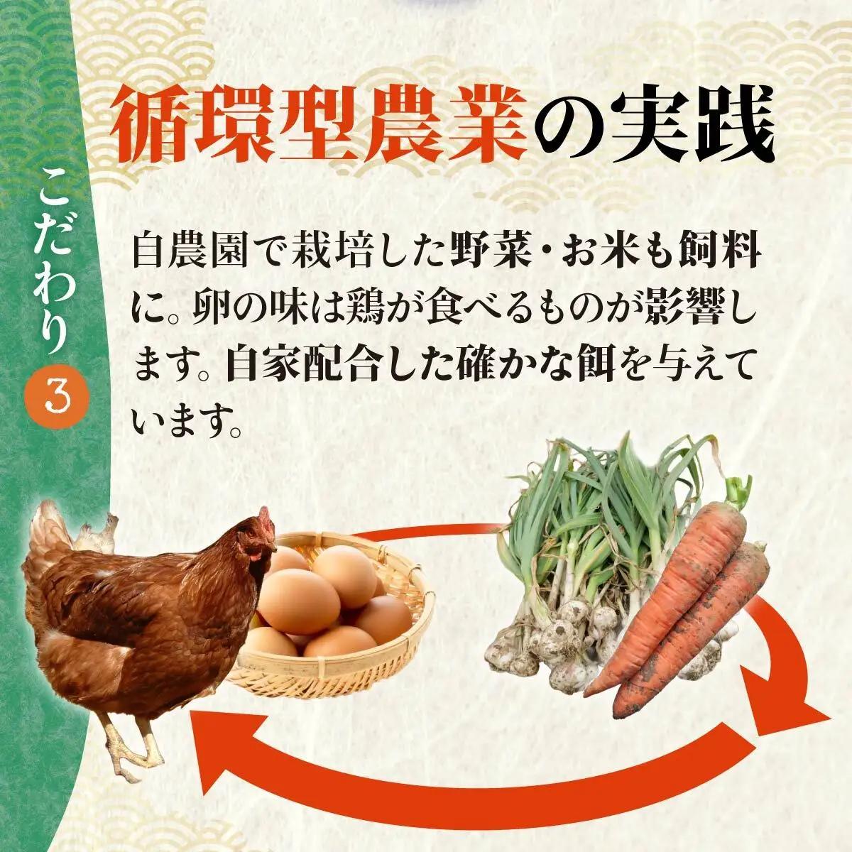 卵 純国産鶏 朝どり 厳選卵 30個 割れ保証付き 6ヶ月定期便