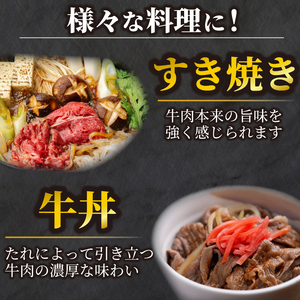 【田村精肉店】北海道産ブランド牛の赤身600g(スライス400g・切り落とし200g)【配送不可地域：離島】 AI021 | 赤身 牛肉