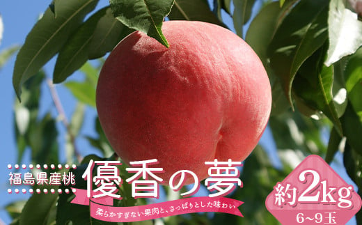 福島県産 伊達市で開発 優香の夢 約2kg 2025年9月上旬～2025年9月中旬発送 2025年出荷分 先行予約 予約 数量限定 ゆうかのゆめ 伊達の桃 桃 もも モモ 果物 くだもの フルーツ 国産 食品 F20C-729