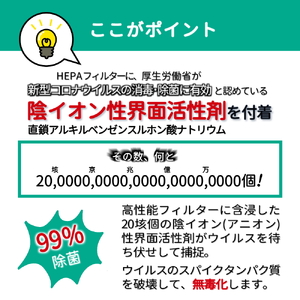 アニオン空気清浄機 10畳用 コロナ対策 ウィルス99%捕捉・不活性化 消毒 空気除菌 陰イオン界面活性剤 花粉 PM2.5 粉塵