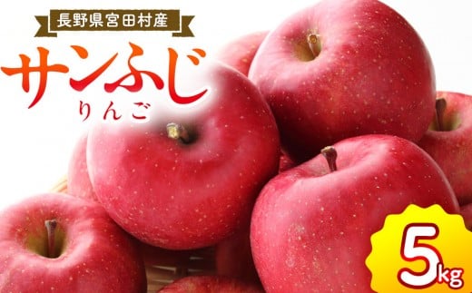 サンふじリンゴ（５ｋｇ）（予約制）（りんご 林檎 フルーツ ビタミン 果物 くだもの   上伊那 宮田村 長野 信州 甘い 新鮮 人気 ギフト 贈答 お祝い プレゼント 贈り物 特産品）