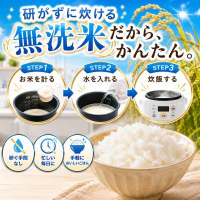 ふるさと納税 大町町 【毎月定期便】【無洗米】さがびより5kg(大町町)全6回 |  | 01