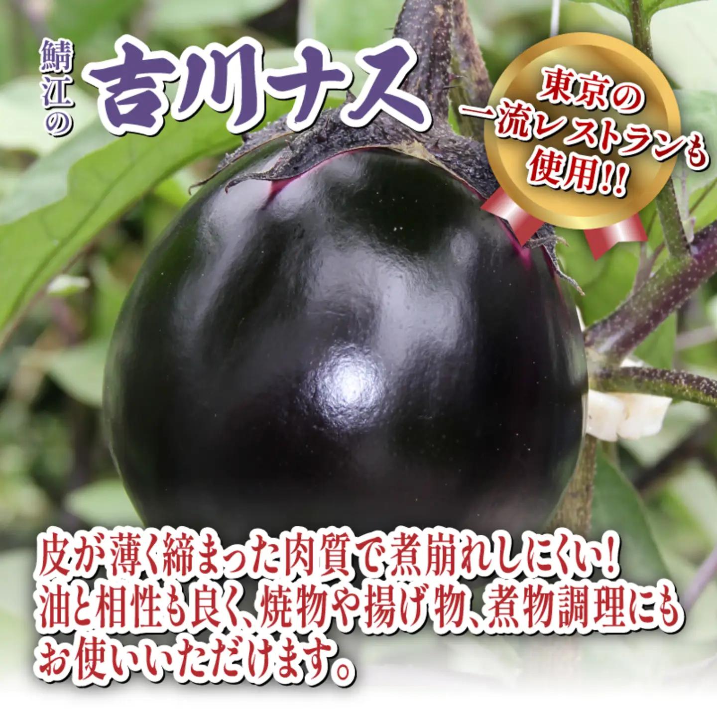 期間限定 吉川ナス（中サイズ）9個 & ごはんのお供 吉川ナスはまなみそ 3個セット野菜 夏