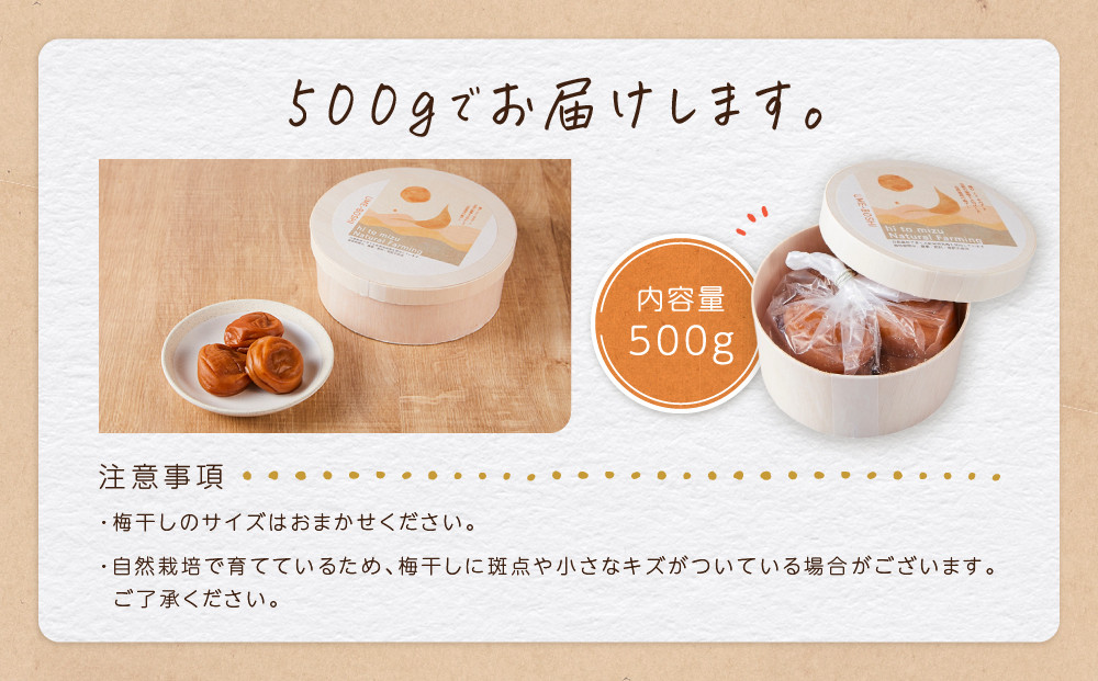 ひとみずの梅干し 500g 自然栽培で育てた紀州南高梅使用 ※栽培期間中、農薬・肥料・堆肥不使用