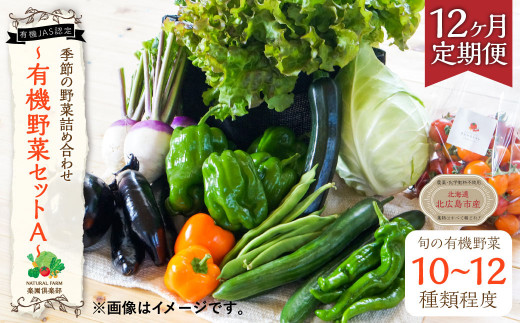 
【12ヶ月定期便】有機JAS認定 季節の野菜 詰め合わせ～有機野菜セットA～ 北海道 北広島市
