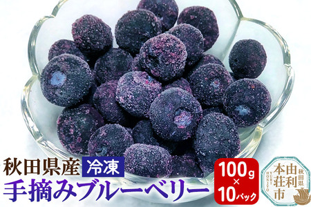秋田県産 手摘み冷凍ブルーベリー 100g×10パック