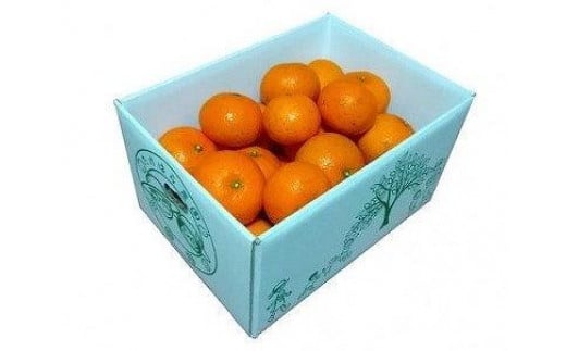 
            【2026年発送分 先行受付】たんかん ご家庭用バラ詰め3kg×2箱【たけはら農園】
          