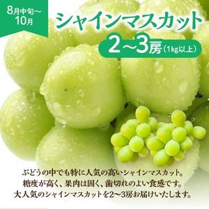 【定期便/年4回】ＪＡむなかた厳選！人気のフルーツ定期便【ほたるの里】_HB0140