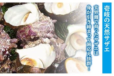 サザエ 秘伝のタレ さざえ つぼ焼き 《壱岐市》【天下御免】[JDB002] 13000 13000円  コダワリサザエ・さざえ こだわりサザエ・さざえ おすすめサザエ・さざえ おススメサザエ・さざえ