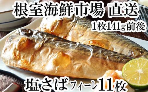 G-28021【12/10まで年内配送】  根室海鮮市場＜直送＞塩さばフィーレ11枚入×1P(計約1.5kg)