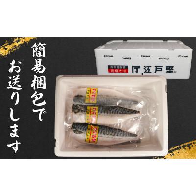 ふるさと納税 銚子市 適塩さば(真空) 12枚入 |  | 01