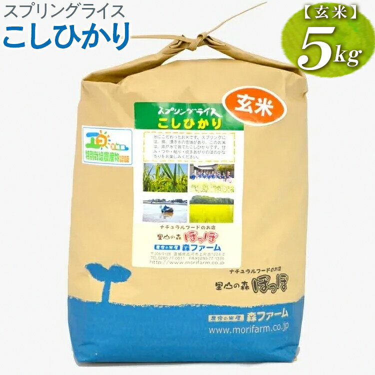 【ふるさと納税】【新米】スプリングライス こしひかり (玄米)5kg｜米 コメ こめ ごはん ご飯 ゴハン スプリング ライス コシヒカリ 水へのこだわり 地下水 5kg 贈答 玄米 ビタミン ミネラル 食物繊維 ギフト 贈答 贈り物 プレゼント お祝 ご褒美 ※2026年9月〜発送 _BI66