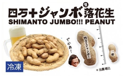 2024新豆　塩ゆで四万十ジャンボ落花生760g（380g２個）　こだわりの無農薬栽培！大きいだけじゃない！美味しさもジャンボ！Fsy-12 ピーナッツ ピーナツ ジャンボピーナッツ おつまみ ビールのお供 国産 豆