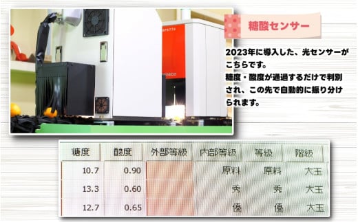 農家直送 有田 みかん 訳あり 10kg 光センサー 選別 / 温州みかん 有田みかん 甘い 家庭用 和歌山 柑橘 ※11月中旬～1月中旬に順次発送 ※北海道・沖縄・離島への配送不可 【nuk004-
